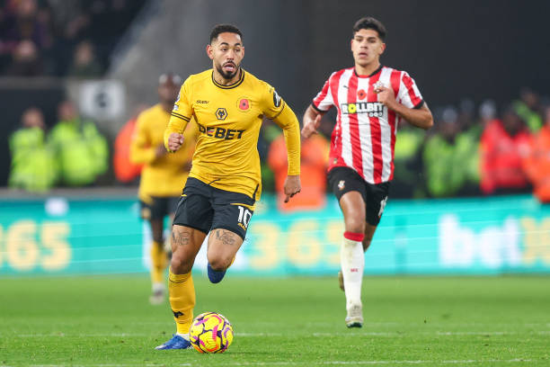 马对贝林厄 马对贝林厄